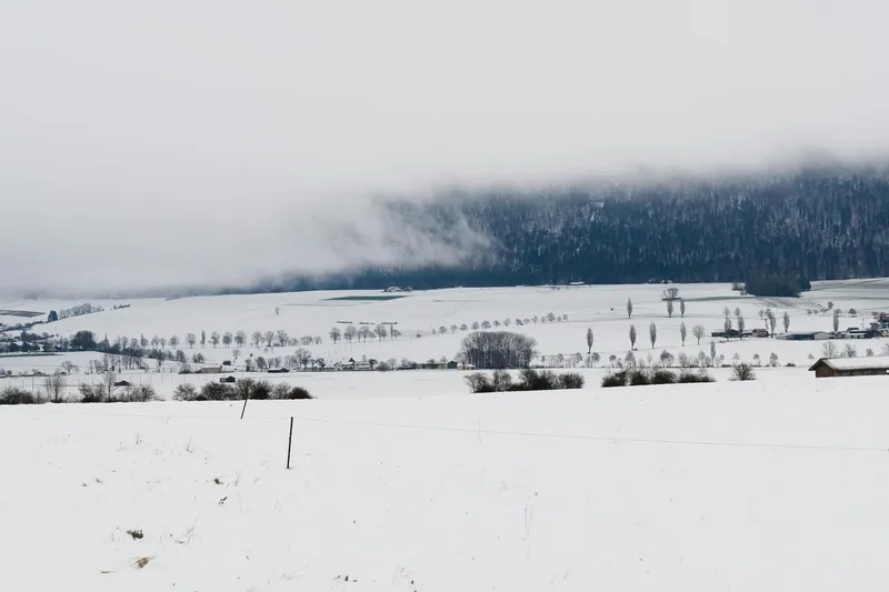 Bild von Biel/Bienne