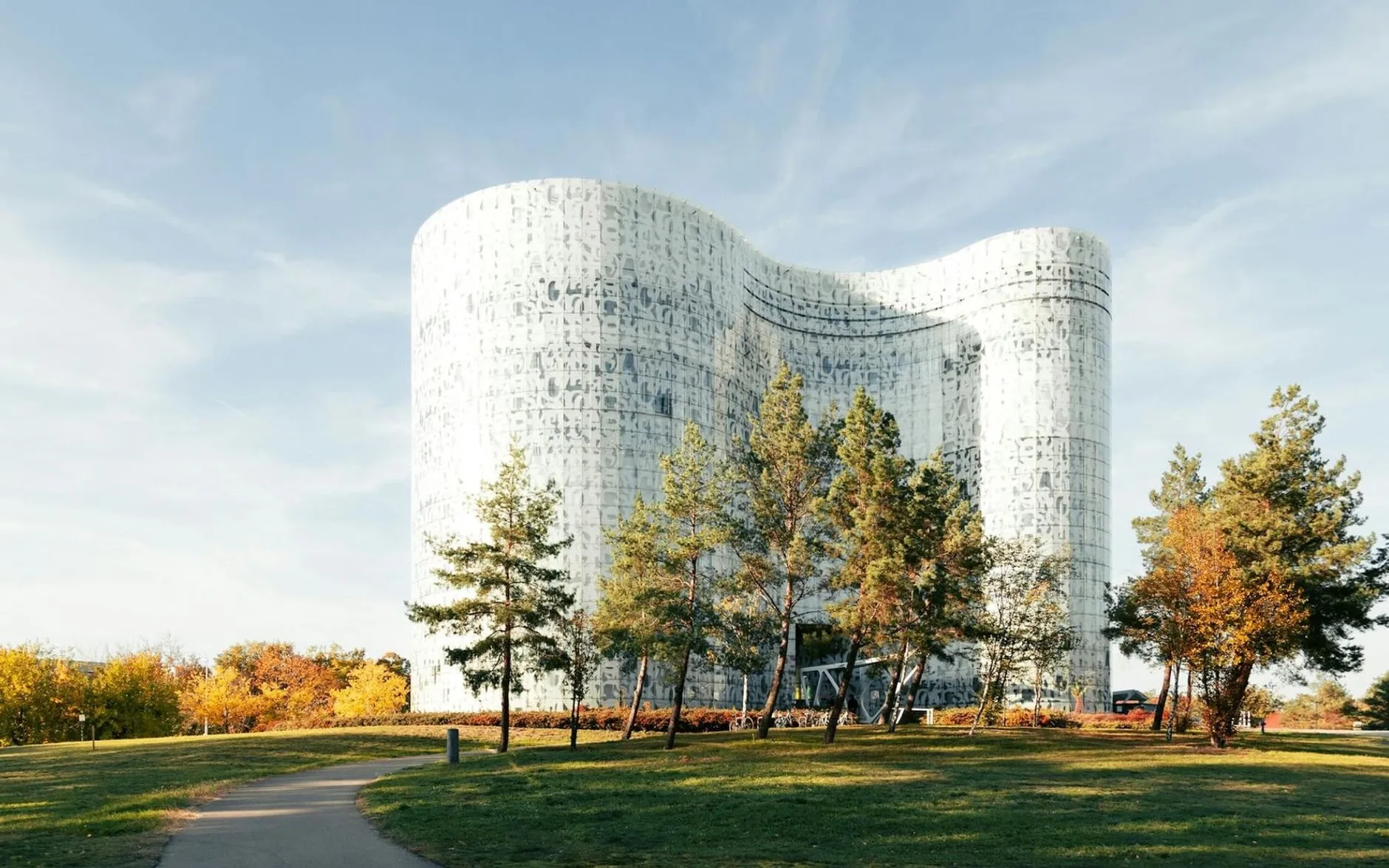 Shopify Agentur Cottbus