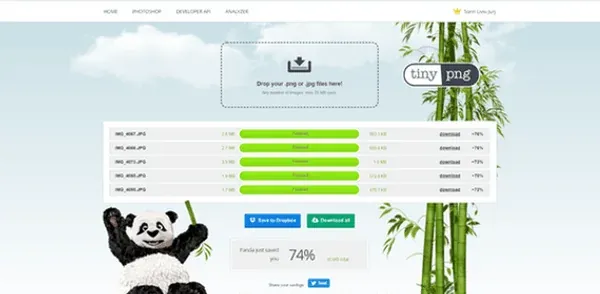 Dashboard von TINY JPG/PNG Image Optimizer
