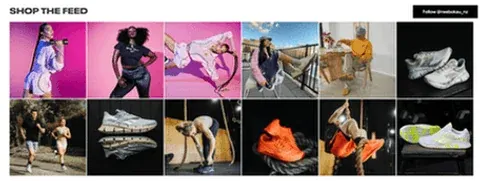 Einbau der Instafeed App auf Shopify