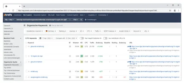 Site Explorer bei Ahrefs