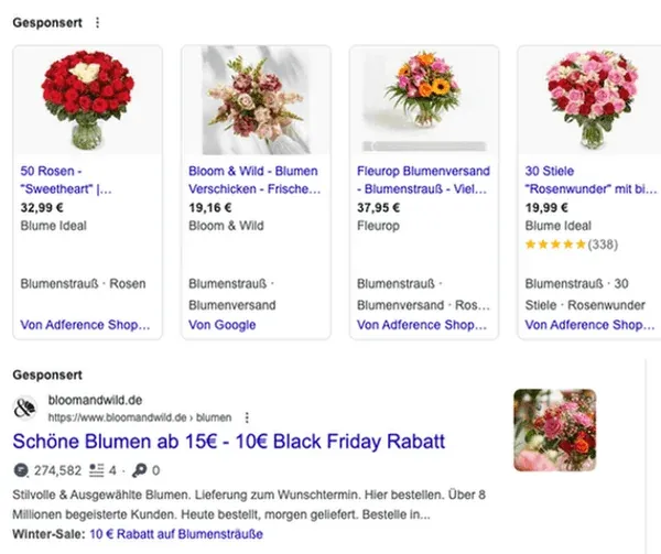 Google SEA Anzeigen