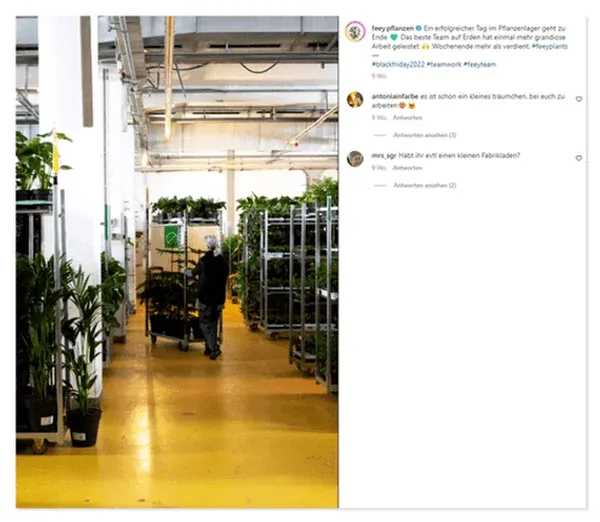 Instagram Post von feey