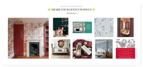 Instagram Feed auf Shopify von Schumacher