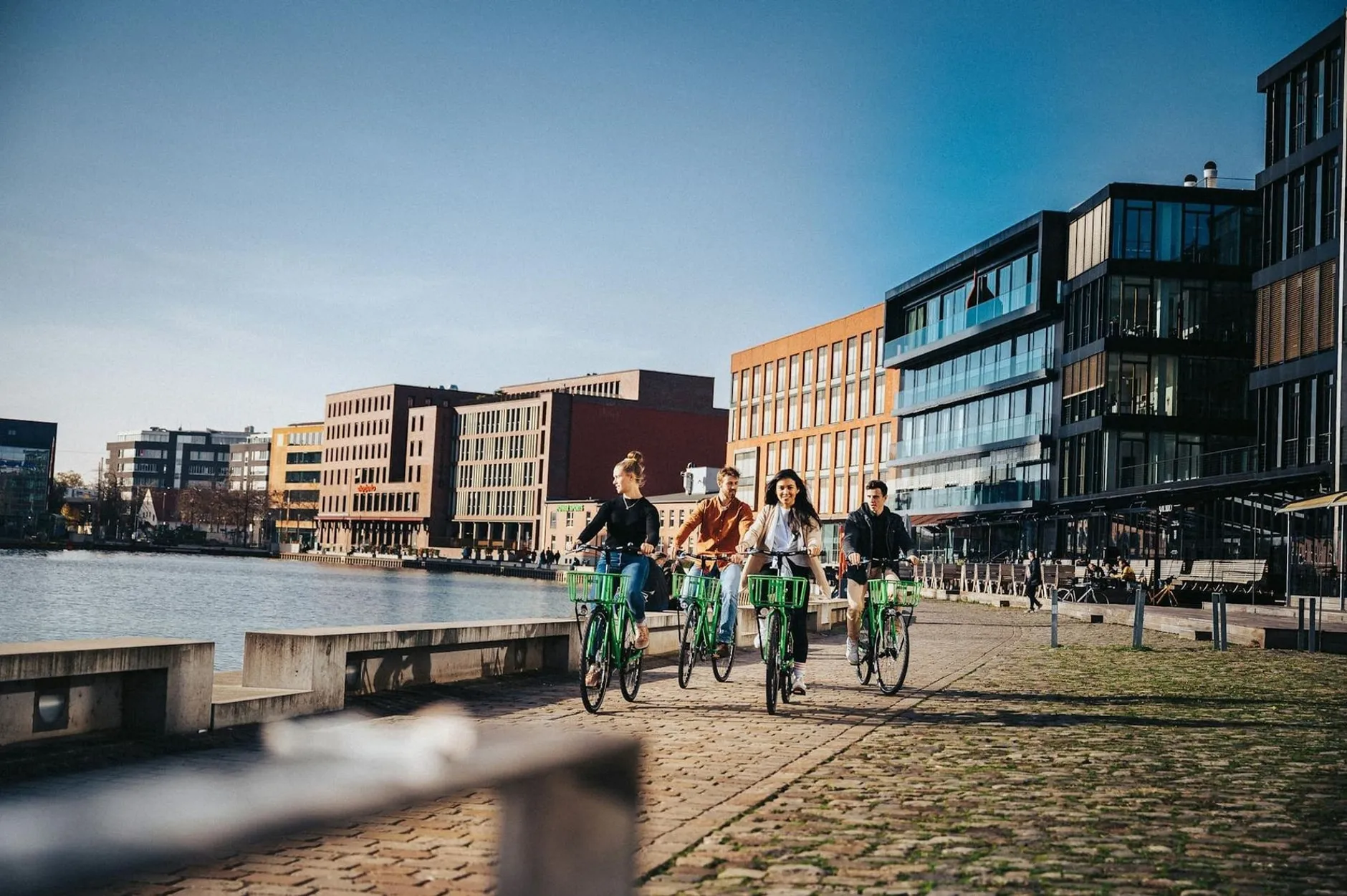 Shopify Agentur Münster