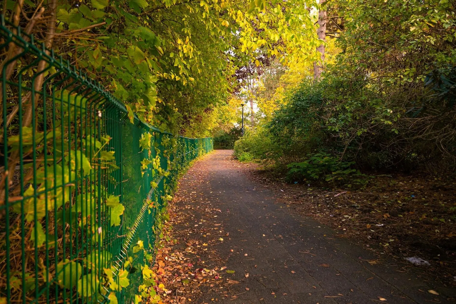 Shopify Agentur Niedersachsen