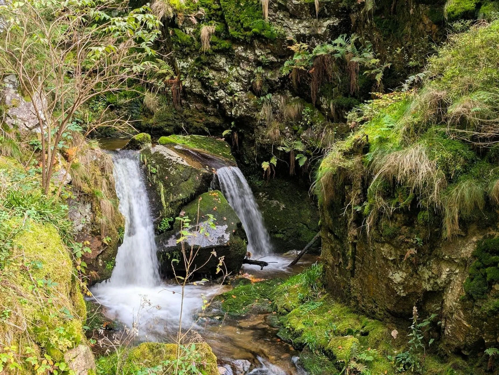 Shopify Agentur Offenburg