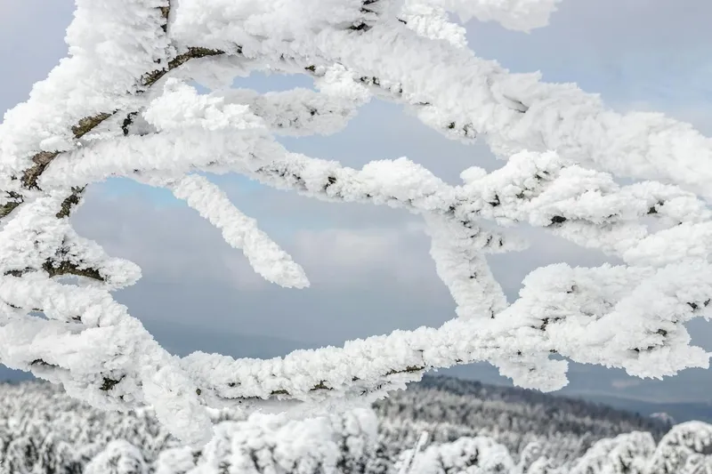 Bild von Sachsen-Anhalt