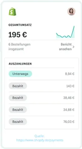 Shopify Umsatzübersicht