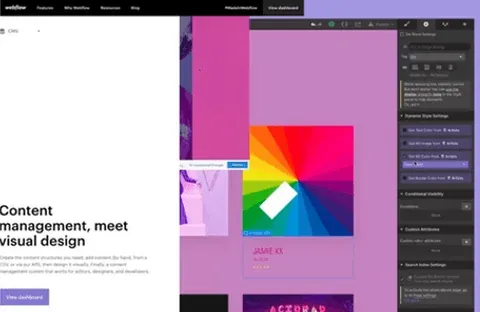 Webflow Content Management System