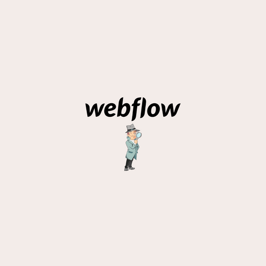 Webflow Erfahrungen